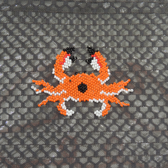 Purse Crab